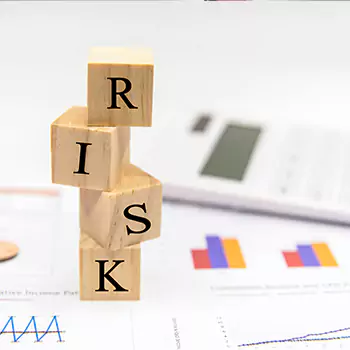 Risk Profile